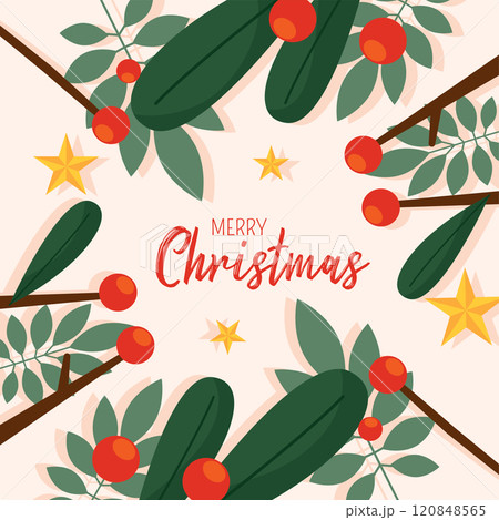 Holly leaves and berries with Christmas text Vector Holly leaves and berries with Christmas text Vector 120848565