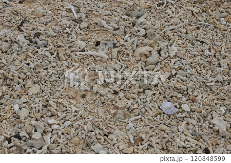 竹富島コンドイビーチのサンゴ砂 竹富島コンドイビーチのサンゴ砂 120848599
