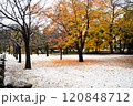 紅葉と雪 120848712
