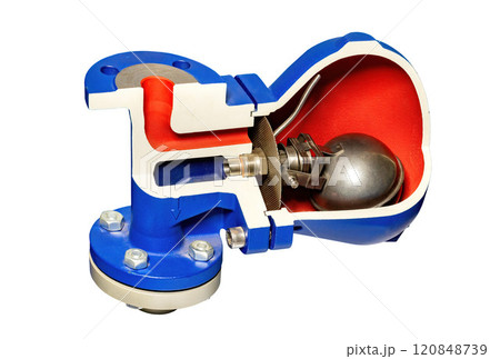 Detailed cross-section of a valve showcasing inner mechanics and design principles 120848739
