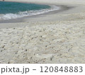 海　エメラルドグリーンの波打ち際 120848883