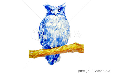 水彩で描いた枝にとまった青いフクロウ 水彩で描いた枝にとまった青いフクロウ 120848908