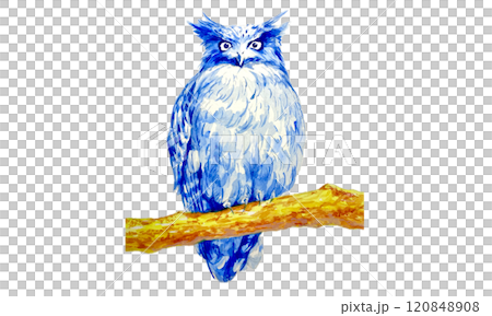 水彩で描いた枝にとまった青いフクロウ 水彩で描いた枝にとまった青いフクロウ 120848908
