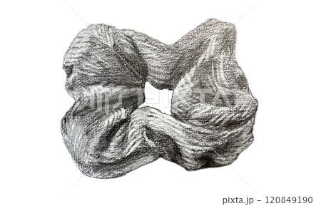 鉛筆で描いたシュシュ 120849190