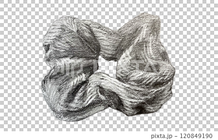 鉛筆で描いたシュシュ 120849190