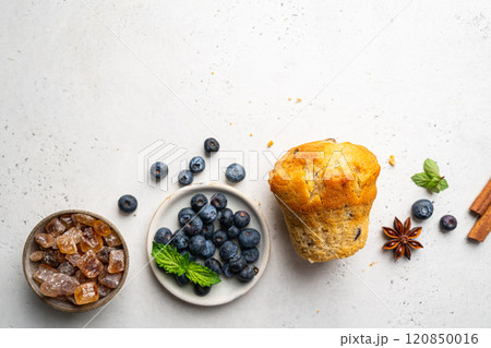 homemade muffin with blueberries homemade muffin with blueberries 120850016