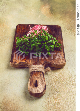 fresh micro-greens, beetroot sprouts, on a wooden chopping board, top view, no people, 120850532