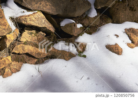 A stone wall surrounded by snow and vegetation 120850756