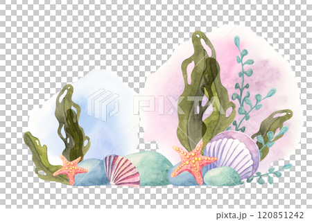 Green seaweed, colorful shells, and coral branches depicted in watercolor. This clipart is perfect for creating marine-themed wrapping paper, textile patterns, digital products, and classroom decor 120851242