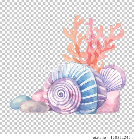 A vibrant seashell arrangement with pink coral, blue rocks, and spiral shells illustrated in watercolor. This clipart is ideal for wedding stationery, greeting cards, or nautical gift packaging 120851243