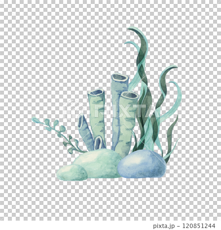 A cluster of green seaweed and rocks painted in watercolor. Undersea life clipart ideal for DIY crafts, underwater-themed branding, packaging design, and aquatic wall art for bathrooms or offices A cluster of green seaweed and rocks painted in watercolor. Undersea life clipart ideal for DIY crafts, underwater-themed branding, packaging design, and aquatic wall art for bathrooms or offices 120851244