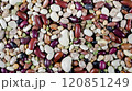 Colorful assortment of various bean arranged on a flat surface for culinary use 120851249