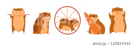 Cute Hamster Character with Pretty Snout Vector Set Cute Hamster Character with Pretty Snout Vector Set 120851432