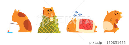 Cute Hamster Character with Pretty Snout Vector Set Cute Hamster Character with Pretty Snout Vector Set 120851433