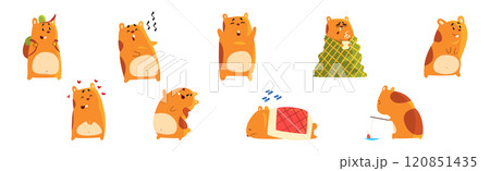 Cute Hamster Character with Pretty Snout Vector Set 120851435