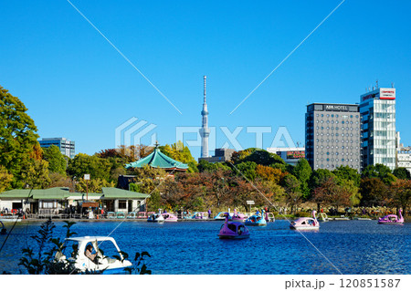 上野の不忍池のレジャーボートと辯天堂、東京スカイツリー 120851587