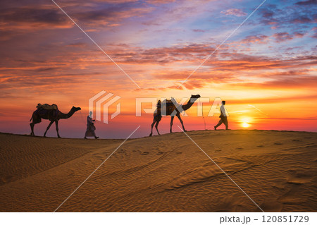 Indian cameleers camel drivers camel silhouettes in dunes on sunset. Jaisalmer, Rajasthan, India 120851729