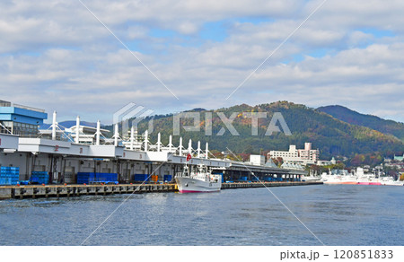 宮城県　気仙沼市　遊覧船から眺める気仙沼魚市場と紅葉の安波山 120851833