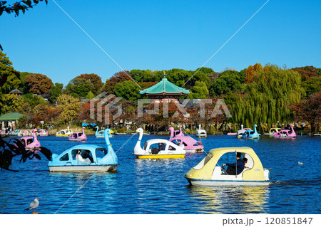 上野の不忍池のレジャーボートと辯天堂 上野の不忍池のレジャーボートと辯天堂 120851847