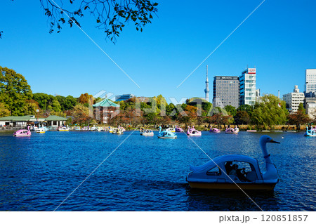 上野の不忍池のレジャーボートと辯天堂、東京スカイツリー 120851857