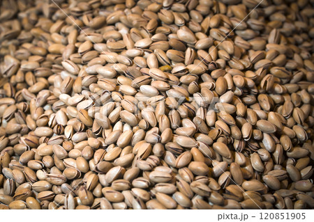 Lots of pistachios, background with tasty nuts. Lots of pistachios, background with tasty nuts. 120851905
