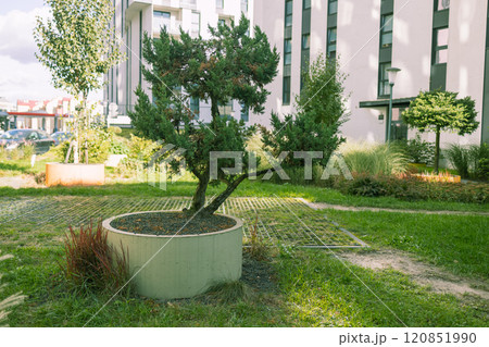 Modern residential buildings in the public green area. Apartment houses in Europe. Beautiful view of real estate homes in Krakow, Poland. Business district in summer. Walking area with trees and grass 120851990