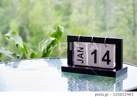14 January calendar table with blurred nature background. With customizable space for text or ideas 120852465