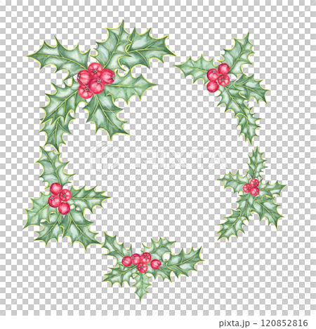 An asymmetrical holly wreath watercolor illustration showcasing green leaves, and red winter berries. Ilex round frame clipart for Christmas. Use in design, scrapbooking, or festive fabric patterns 120852816