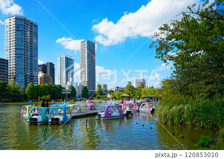 上野の不忍池のレジャーボートとタワーマンション 上野の不忍池のレジャーボートとタワーマンション 120853010