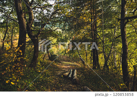 Beautiful autumn landscape Beautiful autumn landscape 120853858