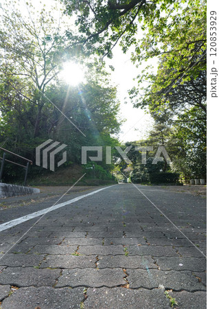 日差しが強い急な坂道を見上げる 日差しが強い急な坂道を見上げる 120853929