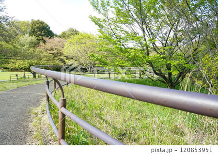 自然がたくさんの公園にある柵 自然がたくさんの公園にある柵 120853951