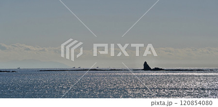 太陽光を反射する波の中の烏帽子岩（冬、十二月） 120854080