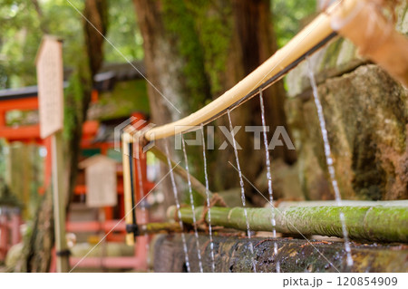 春日大社の手水　参道　境内 120854909