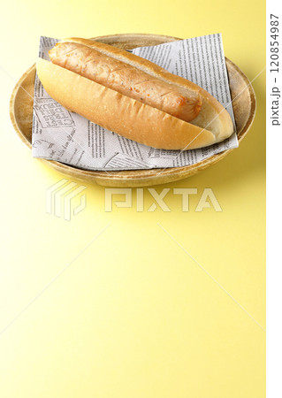 ホットドッグ 120854987