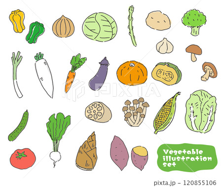 野菜のイラストセット 120855106