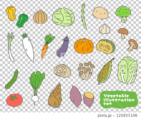 野菜のイラストセット 120855106