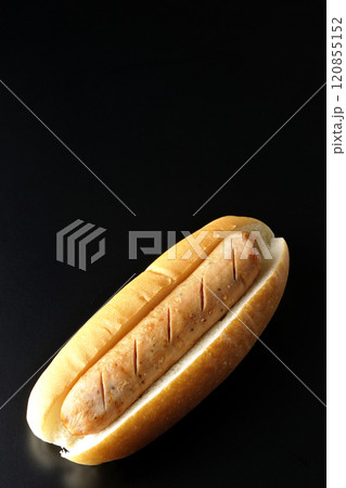 ホットドッグを黒背景で撮影 ホットドッグを黒背景で撮影 120855152