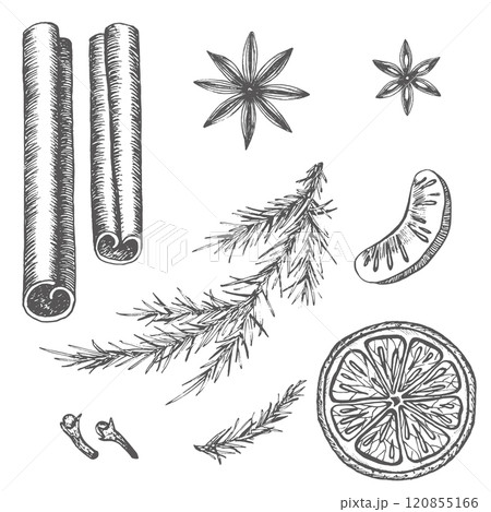 Set with ingredients for mulled wine hand drawn llustration in graphic. Isolated cinnamon, anis, orange and spruce branch used on recipes, dishes and New Year's textiles on cup of grog or mulled wine Set with ingredients for mulled wine hand drawn llustration in graphic. Isolated cinnamon, anis, orange and spruce branch used on recipes, dishes and New Year's textiles on cup of grog or mulled wine 120855166