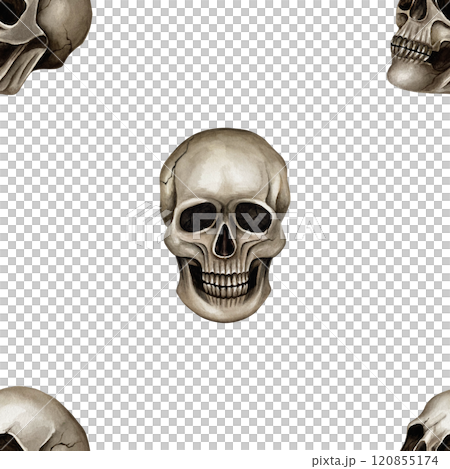 Simple seamless pattern with isolated skulls watercolor illustration on white background Hand drawn pattern for Halloween or Gothic style which using on textile and wrapping paper, for website design 120855174