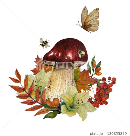 Composition of bolete mushroom, butterfly, autumn leaves, flower, rowan, buckthorn and bee. Watercolor illustration. Can use in postcards, textile, tablecloth, towels, baskets, books, booklets. 120855239
