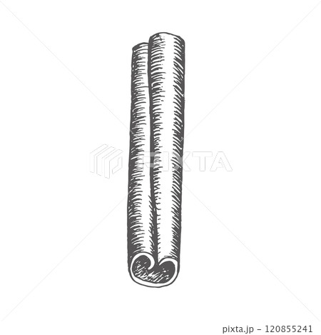 Cinnamon isolated image. Graphics illustration. Use on wrapping paper, New Year's textiles, stickers, cookbook and recepies, also in decoration cafe. It is an ingredient for mulled wine and bakes 120855241