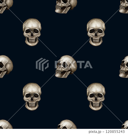 Seamless pattern with skulls front and side drawn in watercolor. Hand drawn illustration with beige skulls for Halloween or Day of the Dead background. Gothic style use on textile and wrapping paper 120855243