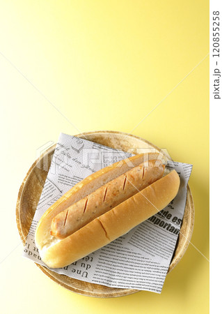 ホットドッグ ホットドッグ 120855258