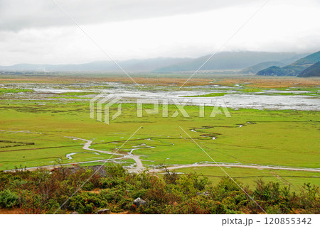 中国 雲南省 シャングリラ市 高層湿原 ナパ海 中国 雲南省 シャングリラ市 高層湿原 ナパ海 120855342