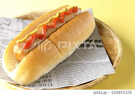 ケチャップとマスタードがかかったホットドック ケチャップとマスタードがかかったホットドック 120855378