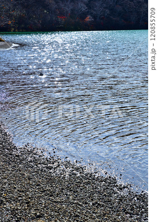 赤城小沼　岸辺　湖畔の風景 120855709