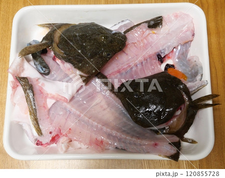 魚のアラ 120855728