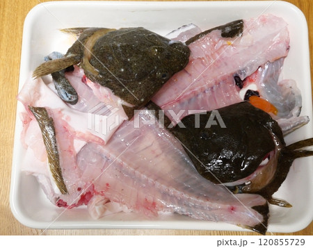 魚のアラ 120855729