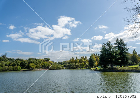 池のある公園 120855982